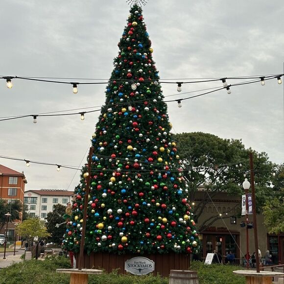 Happy time  - Picture 10 of 14